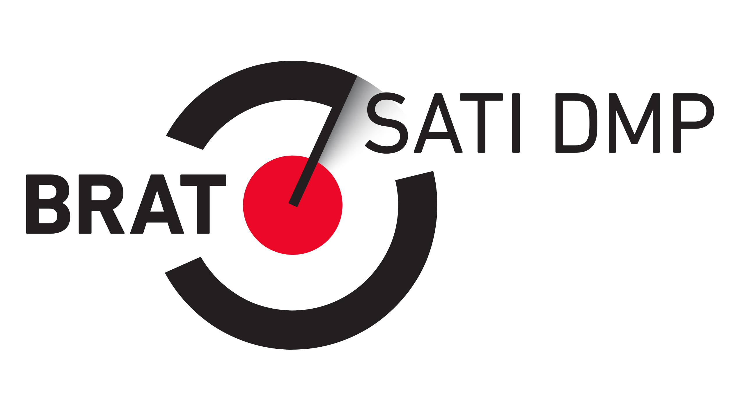 brat_logo SATI DMP_fara descriptor_transp.png (101 KB)