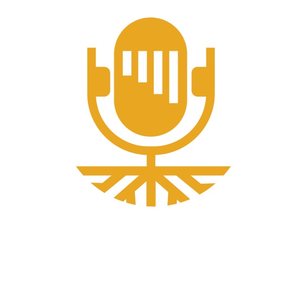 DAMIAN DRAGHICI PODCAST