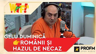 WHAT THE FUN (WTFUN LA PROFM)